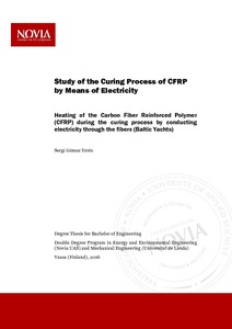 Study of the Curing Process of CFRP by Means of Electricity